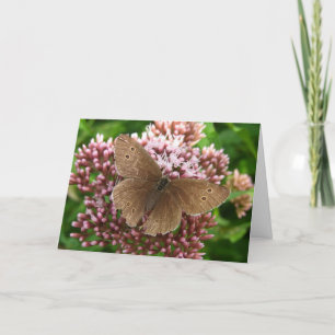 Butterfly and Flower Thinking of You Greeting Card