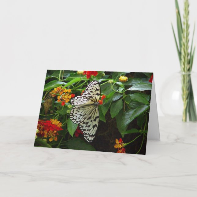 Butterfly and Flowers Hi/Hello Greeting Card (Front)