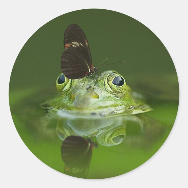 Butterfly and Frog Classic Round Sticker (Front)