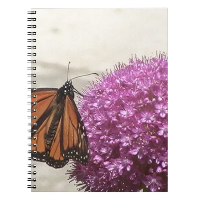 Butterfly and Giant Onion Notebook (Front)