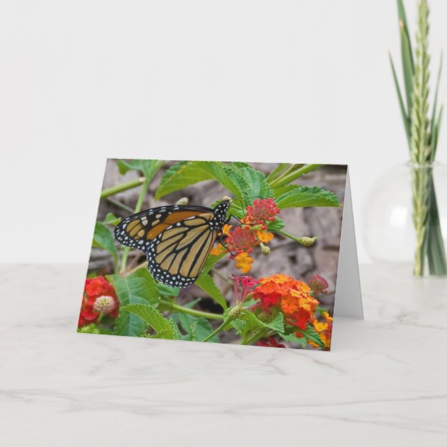 Butterfly and Lantana Card (Front)