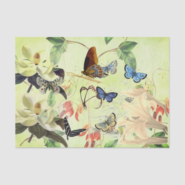 BUTTERFLY AND MAGNOLIA TISSUE PAPER (Front)