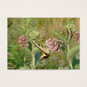 Butterfly and Milkweed