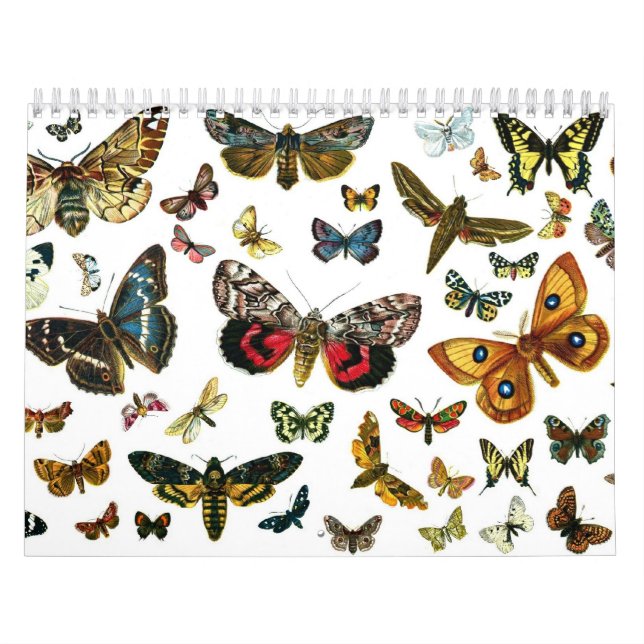 Butterfly and Moth Lithographs Calendar (Cover)