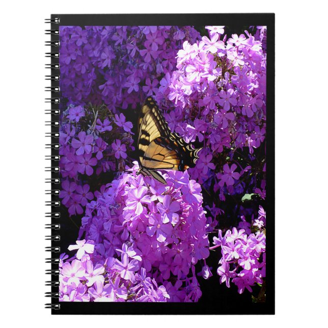 Butterfly and Phlox Notebook (Front)