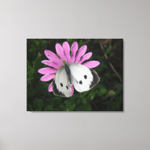 Butterfly and Pink Flower Canvas Print