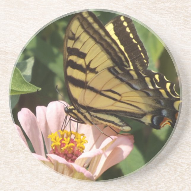Butterfly and pink flower coasters (Front)