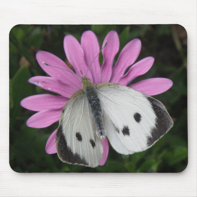 Butterfly and Pink Flower Mousepad (Front)