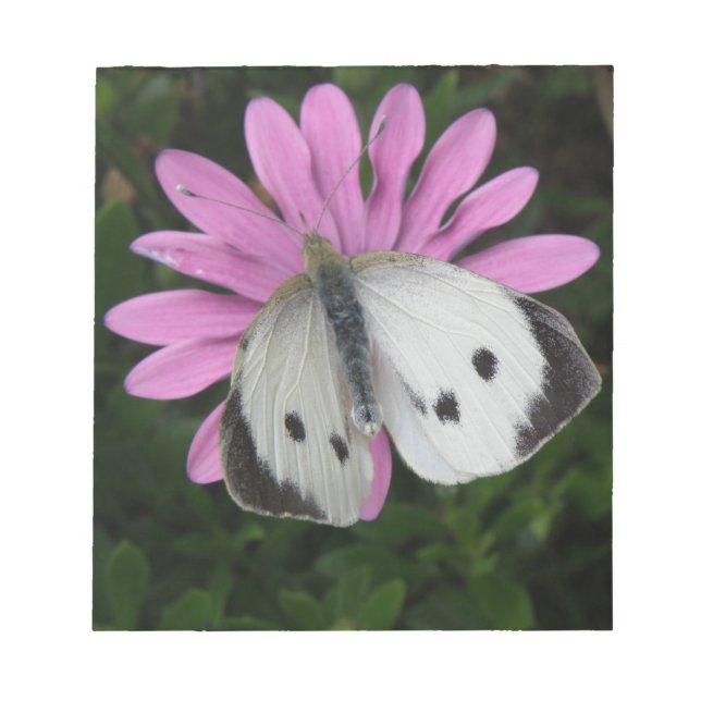 Butterfly and Pink Flower Notepad (Front)