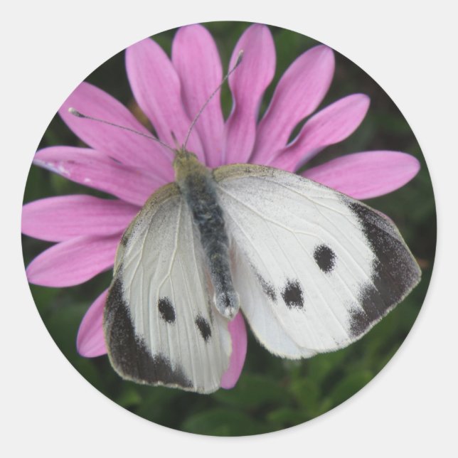 Butterfly and Pink Flower Stickers (Front)