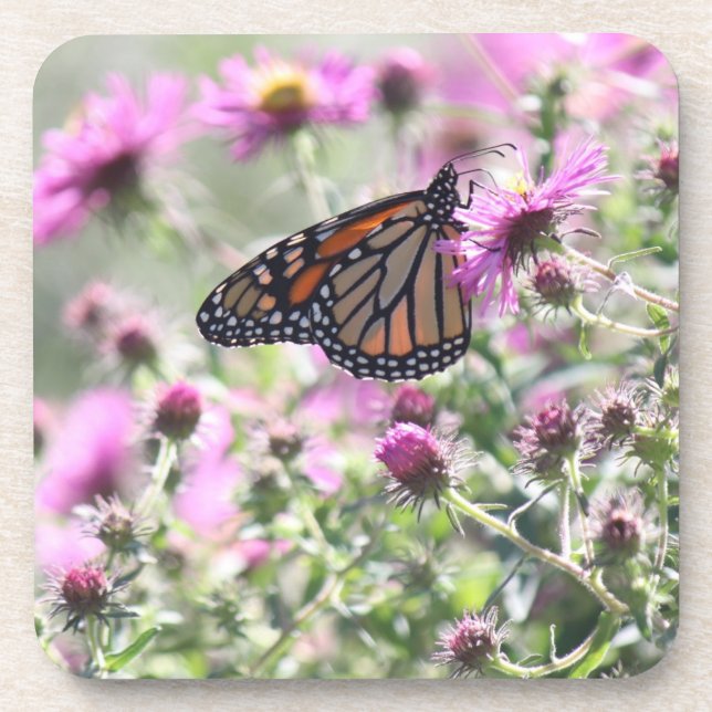 Butterfly and Purple Meadow Flowers Coaster (Front)