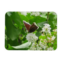 Butterfly and Spring Lilac Magnet