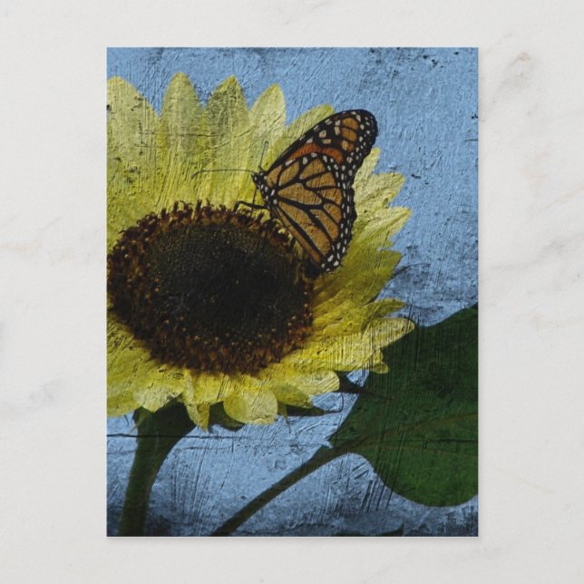 Butterfly and Sunflower Postcard (Front)