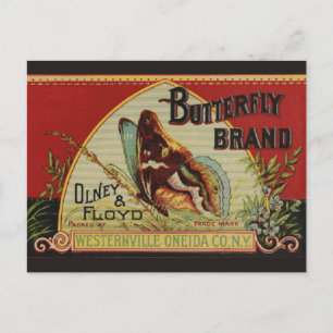 Butterfly Antique Advertising Label Postcard