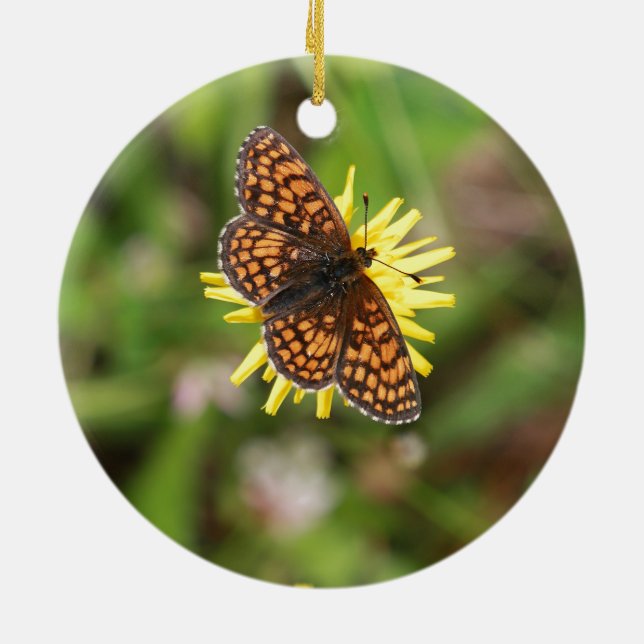 Butterfly - Beautiful! Ceramic Tree Decoration (Back)