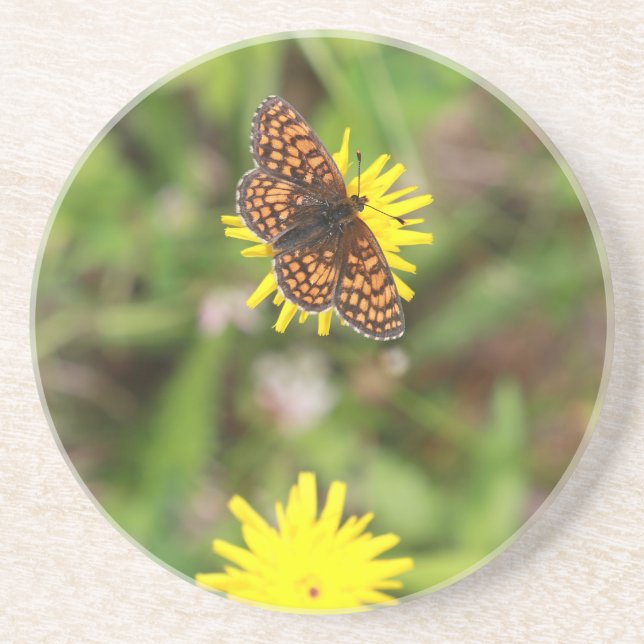 Butterfly - Beautiful! Coaster (Front)