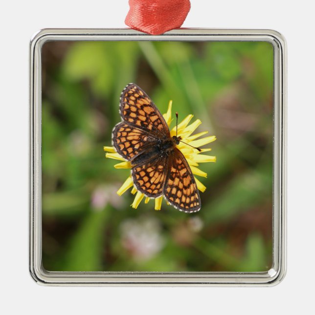 Butterfly - Beautiful! Metal Tree Decoration (Front)