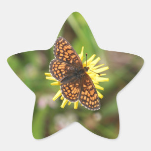 Butterfly - Beautiful! Star Sticker