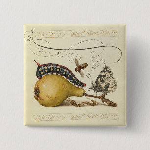 Butterfly Bee Fruit Insect Illustration 15 Cm Square Badge