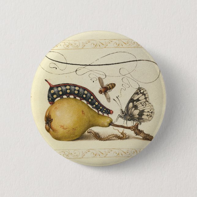 Butterfly Bee Fruit Insect Illustration 6 Cm Round Badge (Front)