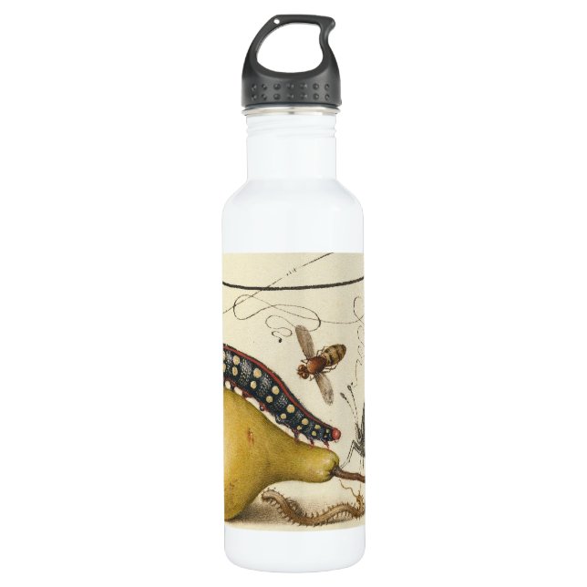 Butterfly Bee Fruit Insect Illustration 710 Ml Water Bottle (Front)