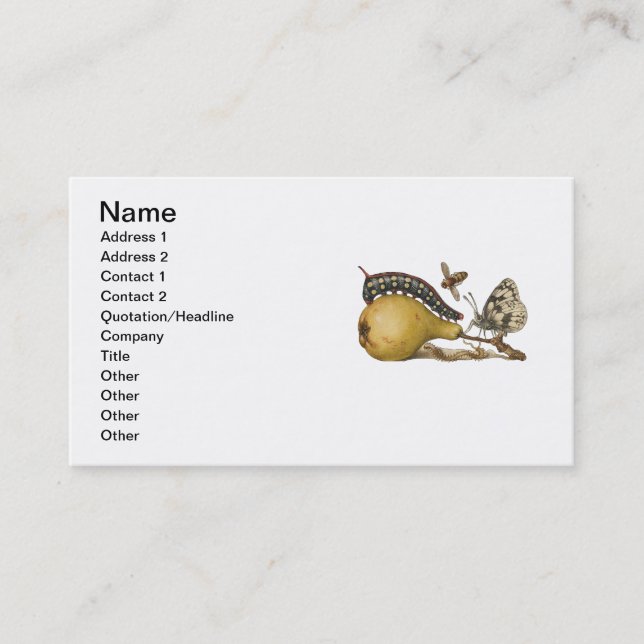 Butterfly Bee Fruit Insect Illustration Business Card (Front)