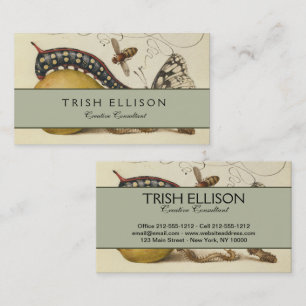 Butterfly Bee Fruit Insect Illustration Business Card