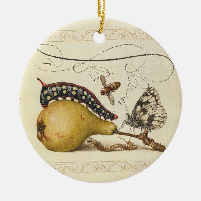 Butterfly Bee Fruit Insect Illustration Ceramic Tree Decoration (Front)