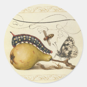 Butterfly Bee Fruit Insect Illustration Classic Round Sticker