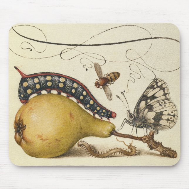 Butterfly Bee Fruit Insect Illustration Mouse Mat (Front)