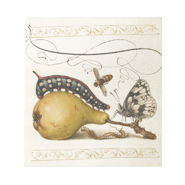 Butterfly Bee Fruit Insect Illustration Notepad (Front)