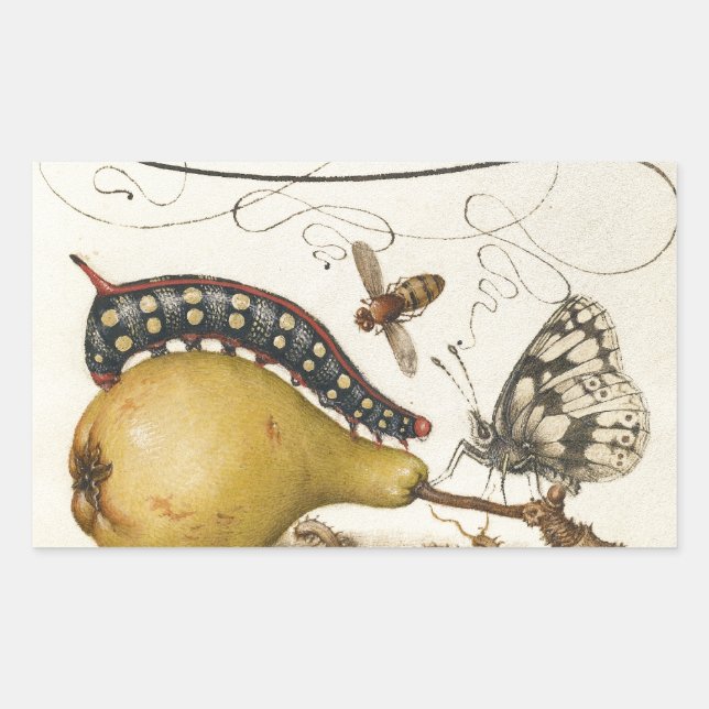 Butterfly Bee Fruit Insect Illustration Rectangular Sticker (Front)
