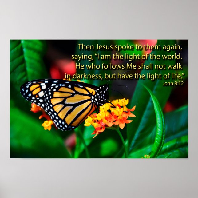 Butterfly Bible Quotes Inspirational Sayings Poster (Front)