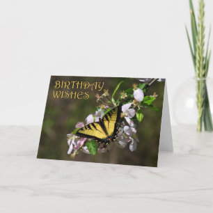 Butterfly Birthday 1 Card