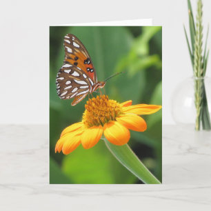 Butterfly Birthday Card