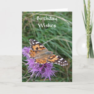 Butterfly Birthday Card