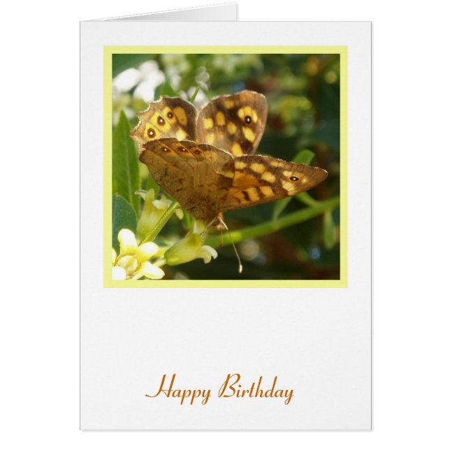 Butterfly Birthday Card (Front)