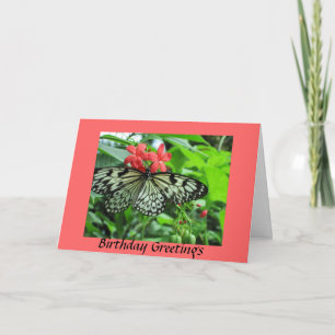 Butterfly Birthday Card