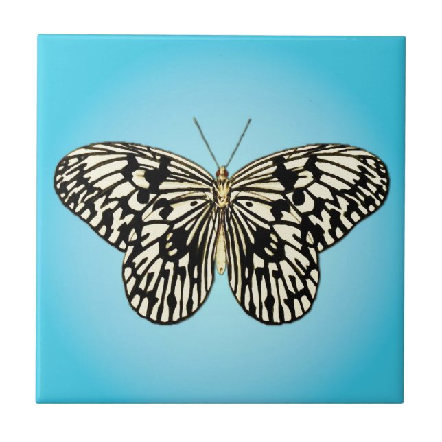 Butterfly - black and white on turquoise tile (Front)