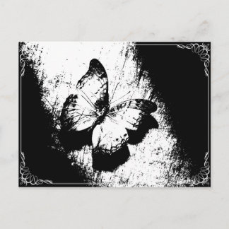 Butterfly Black and White Postcard