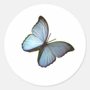 Butterfly Blue 45 deg Freiburg Germany jGibney Classic Round Sticker