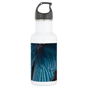 butterfly blue insect flying beautiful wings 532 ml water bottle