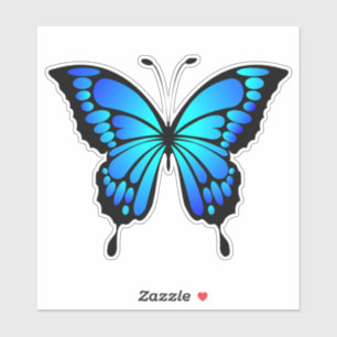 Butterfly Blue Insect Illustration-20284