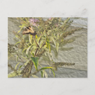 Butterfly Bush 1 Postcard