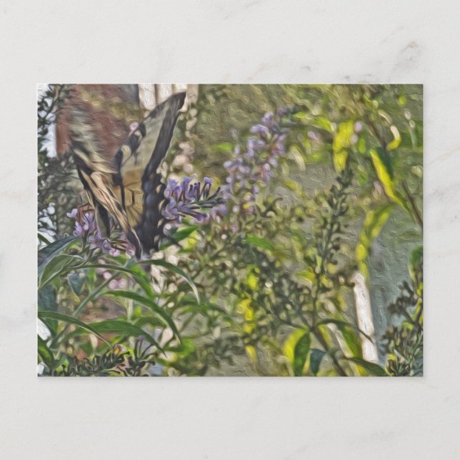 Butterfly Bush 2 Postcard (Front)