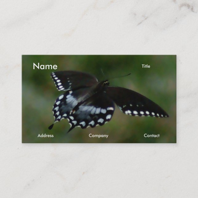 Butterfly Business Card (Front)