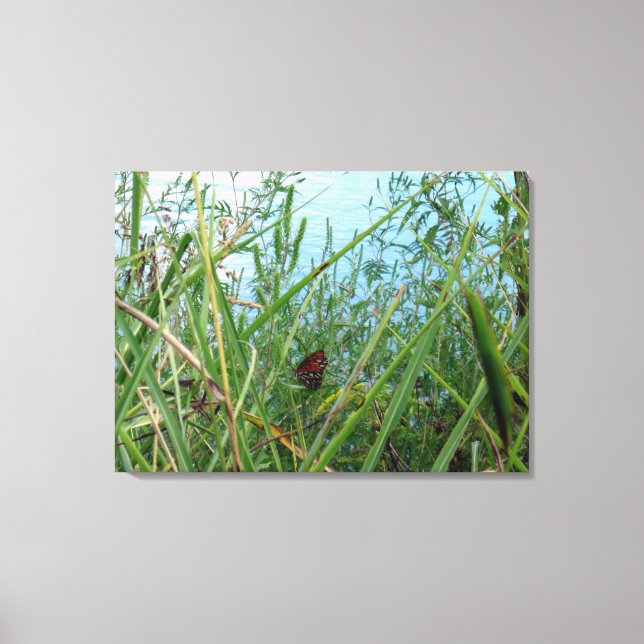 Butterfly by the River Canvas Print (Front)