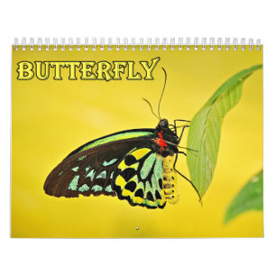 Butterfly Calendar