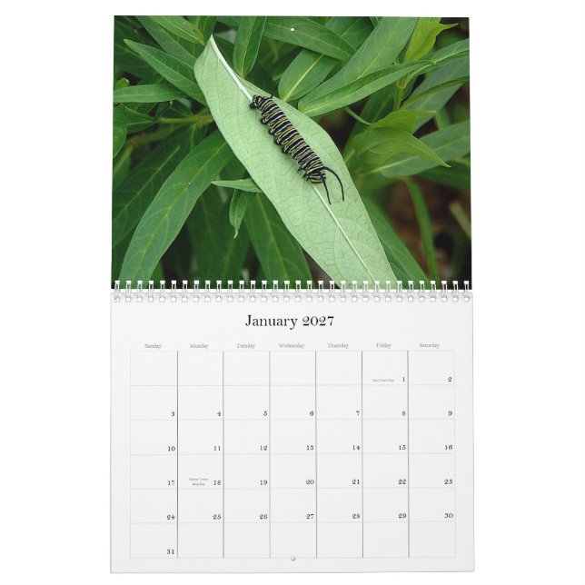 Butterfly calendar (Jan 2027)