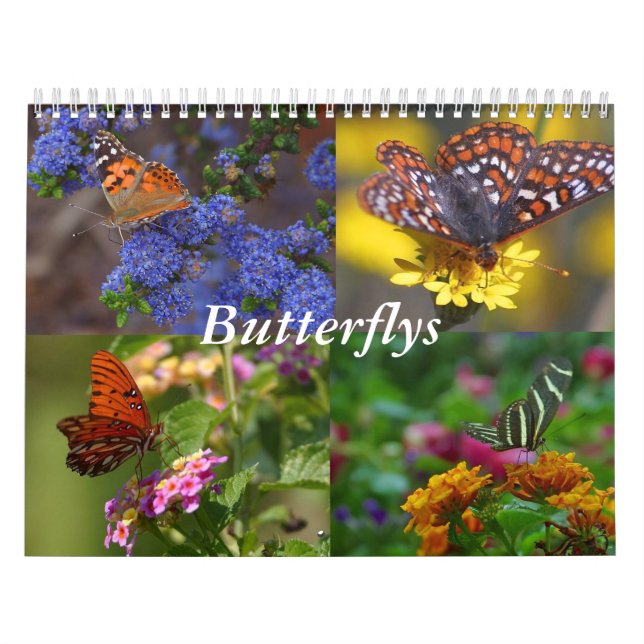 Butterfly Calendar (Cover)